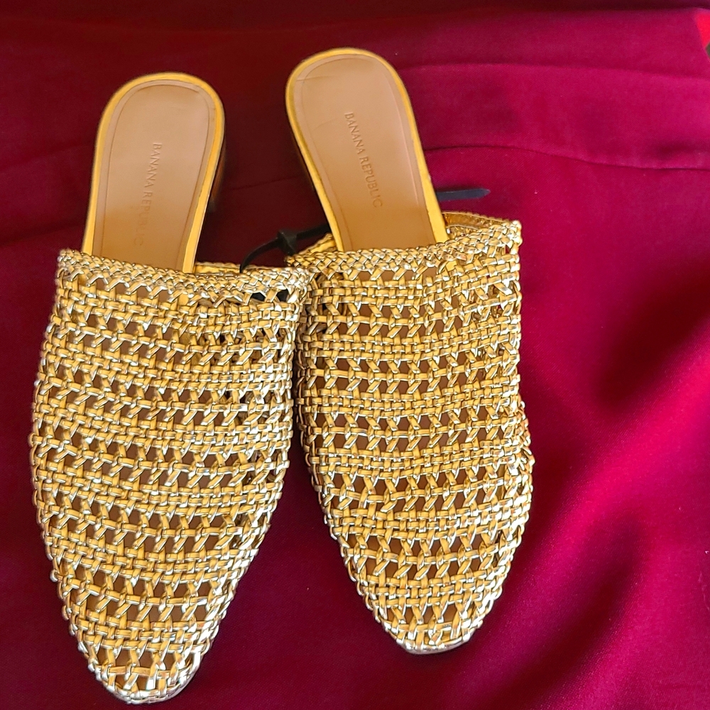 Banana Republic flip on shoes